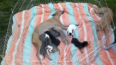 De La Deesse Aux Bras Blancs - Les bébés ont de nouvelles photos