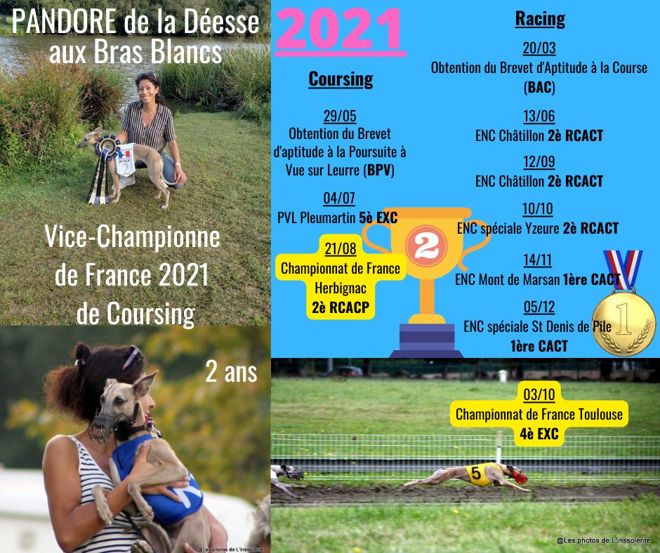 De La Deesse Aux Bras Blancs - Bilan 2021 Pandore