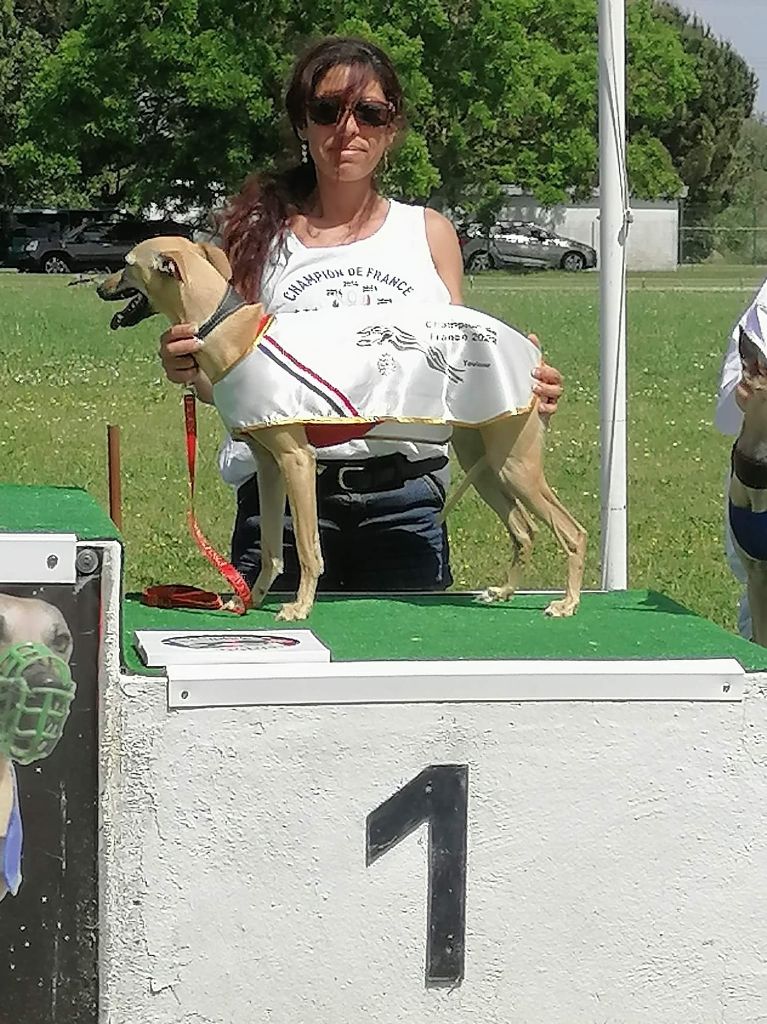 De La Deesse Aux Bras Blancs - Reverencia Championne de France Racing 350m pour la 2è fois