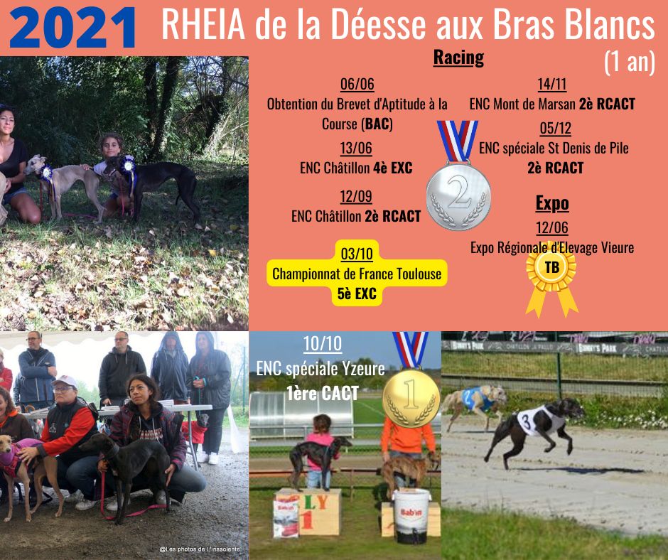 De La Deesse Aux Bras Blancs - Bilan 2021 Rhéia